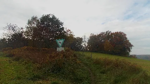 20151028 Mk Nsg Fuchslochbachtal