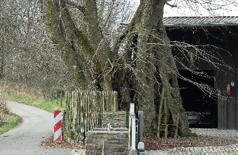 2016 02 28 Linde Hagen Dahl Nrw