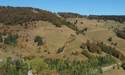 2016 Schauinsland Südosthang