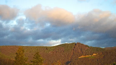 20160213 Mk Neustadt An Der Weinstrasse