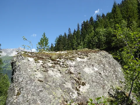 20160730 Xl P1060182 Sankt Anton Am Arlberg Moosbachtal.wmc