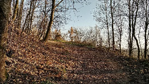 20161205Hypoberg 02