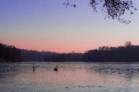 2017 01 22 Hariksee, Abendhimmel Mit Schwänen (Freddy2001)