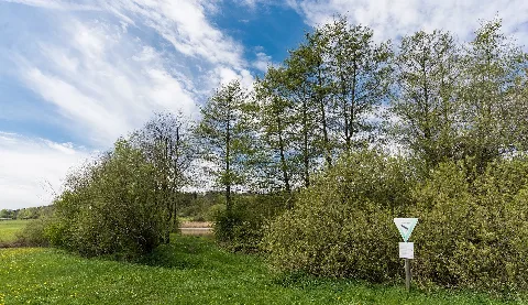 2017 05 06 Nsg Rößlesmahdsee Mit Pfaffenklinge 02