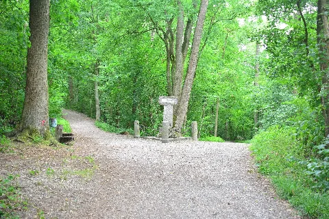 2017 07 14 Guentherz (167) Enns Eichbergwald Bauernkriegsdenkmal