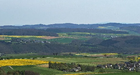 2017 Blick Heisebäumchen Ost
