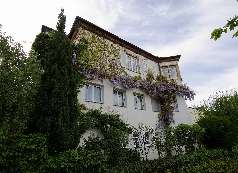 20170506 Stuttgart Im Schellenkönig 50