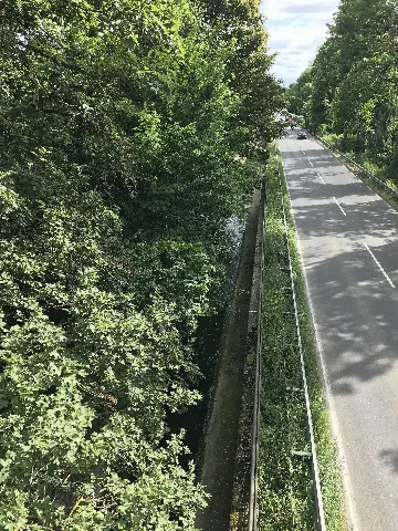 20170624 Godesberger Bach