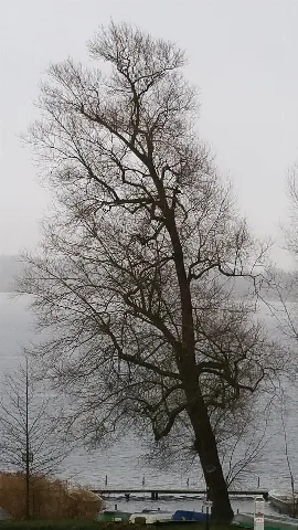 20171231 105537 Biosphärenreservat Schaalsee Gps