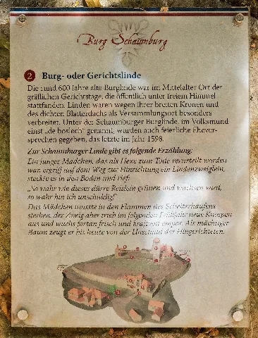 2018 09 17 Blutlinde Vor Burg Schaumburg (Niedersachsen) 01