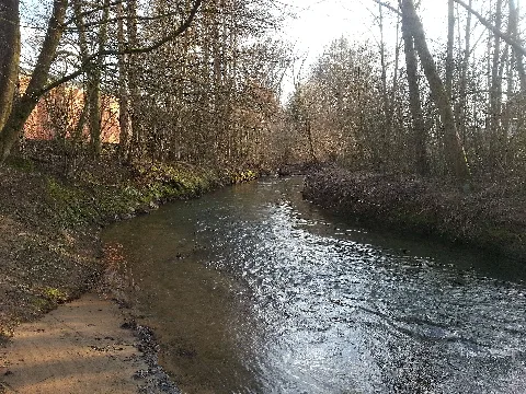 20180331 Schnaittach (Gewässer) In Neunkirchen Am Sand Gemeindeteil Rollhofen