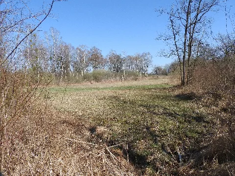 2018040607 W Nsg Sauscholle