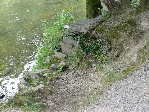 2019 06 14 Altenahr Langfigtal (65) Kopie