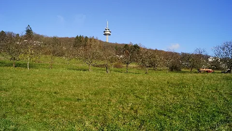 2019 Atzelberg
