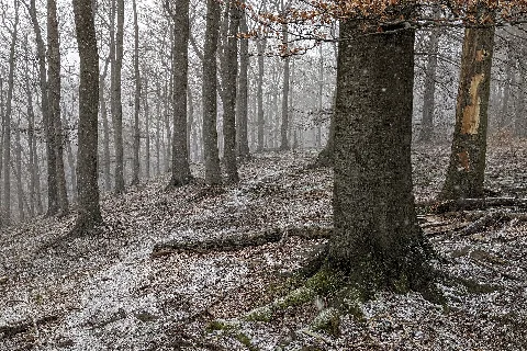 2020 03 29 111932 Naturschutzgebiet Hohenstein