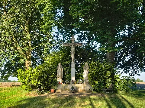2020 05 28 Nd Winterlinde Am Hagelkreuz, Bottrop (Nrw) 01