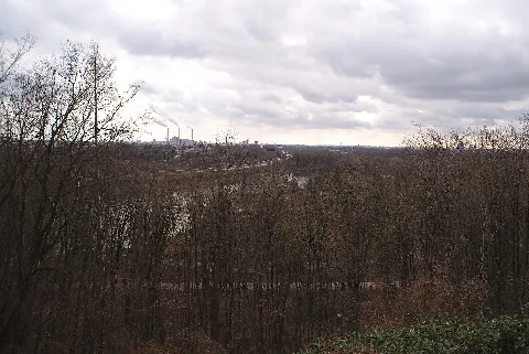 20200228Landschaftsschutzgebiet Isar Landkreis München 02