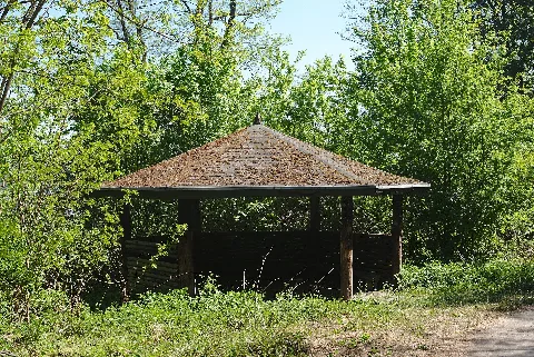 20200423Alt Saarbrücker Stadtwald 02