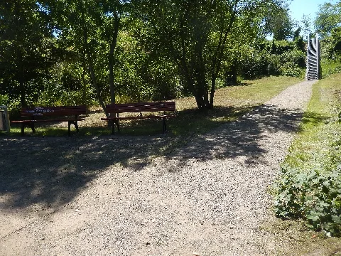 20200731.Dresden Südpark 012