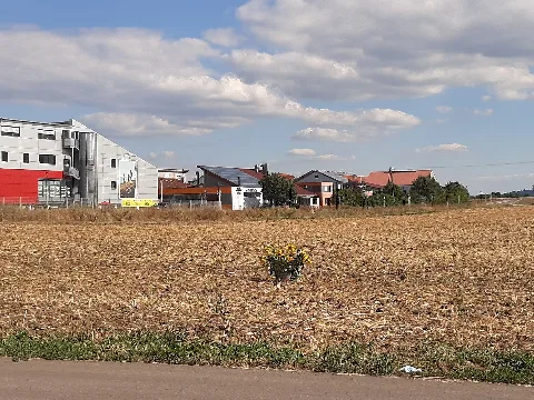 20200805 Erntedank Michelfeld