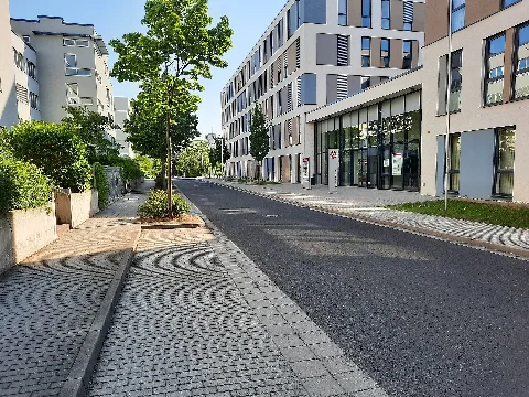2021 06 06 Henriette Heber Straße, Dresden 05