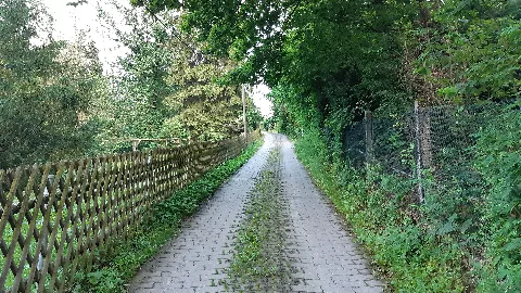 2021 06 23 Chemnitz Am Gutsberg 1