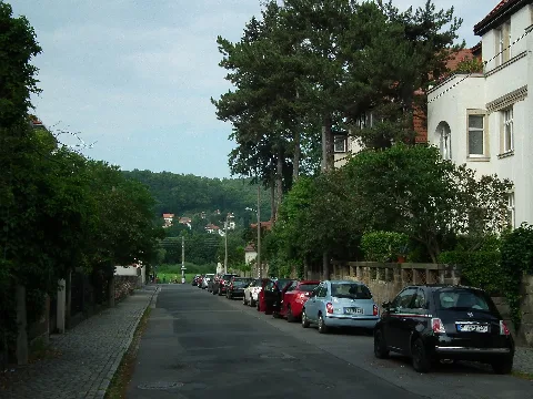 2021 07 10 Rudolf Zwintscher Straße, Dresden 04