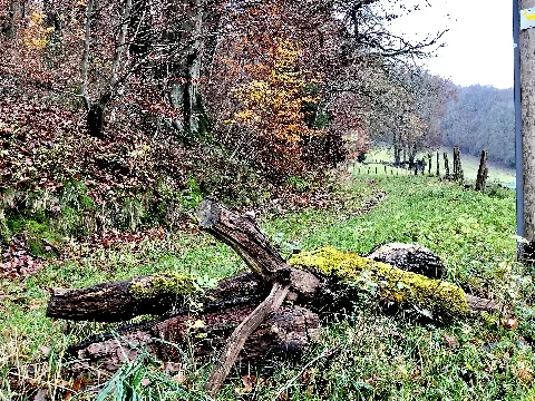 2021 11 20 Hike Protected Areas Lennep Photo 22