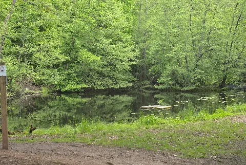 20210529 Schloßweiher Oberstein 02