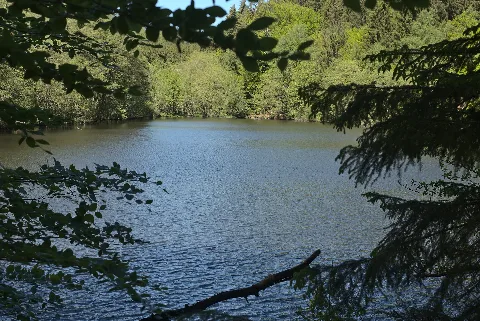 20210530 Hundscheider Weiher