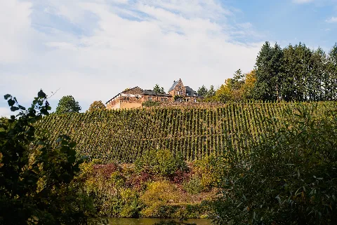 20211010 Weingut Würtzberg 02