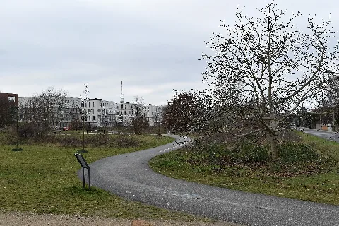 2022 01 01 Stadtteilpark Misburg, Hauptweg