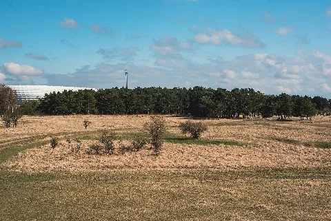 20220416 Kleiner Hart Südliche Fröttmaninger Heide Nsg