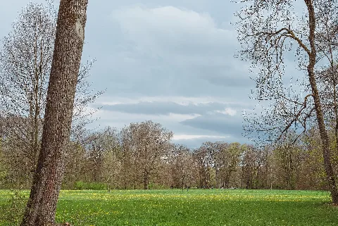 20230423 Siebenbuchenwiese