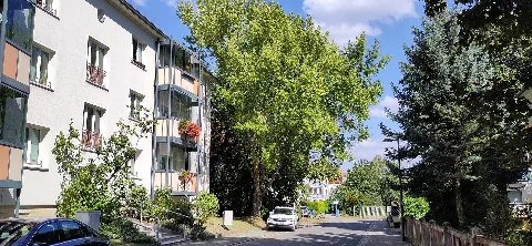 2024 09 07 An Den Ruschewiesen, Dresden, 06
