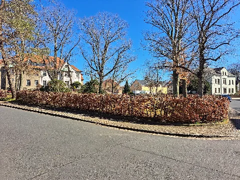 20250319.Schillerplatz.dresden Langebrück. 012