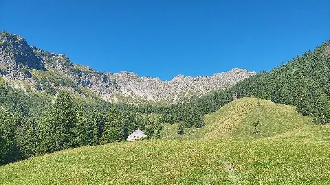 20250809 090031 Hdr