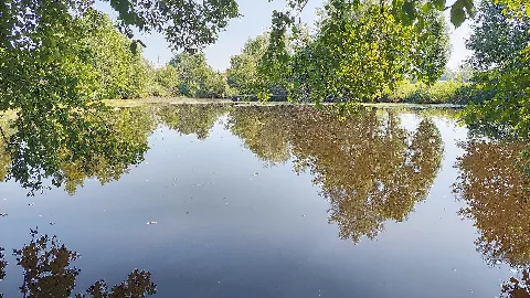 20250812 160238 Hdr