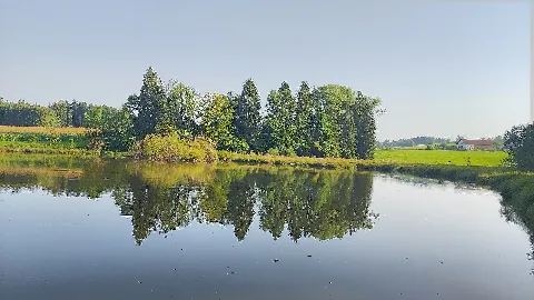 20250813 175239 Hdr
