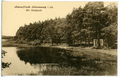 21515 Schmannewitz 1920 Badeteich Brück & Sohn Kunstverlag