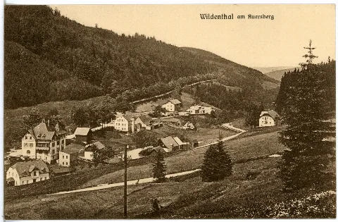 24819 Wildenthal 1929 Wildenthal Am Auersberg Brück & Sohn Kunstverlag