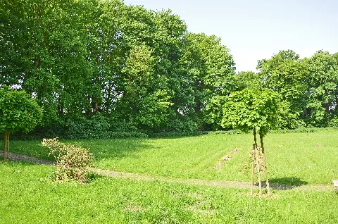 25104100007M001 Syke Wallanlagen Mit Baumbestand
