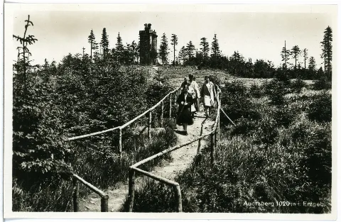 25273 Auersberg 1930 Aussichtsturm Brück & Sohn Kunstverlag