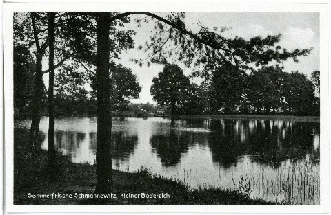 25949 Schmannewitz 1932 Kleiner Badeteich Brück & Sohn Kunstverlag
