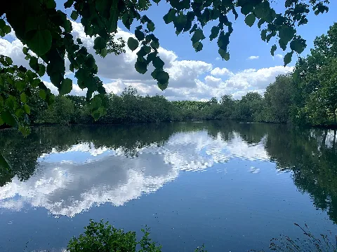 26963935 Am Mühlenteich Wulfsen