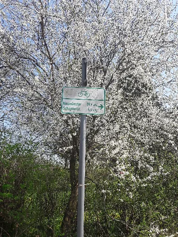 27 Meimersdorf 09