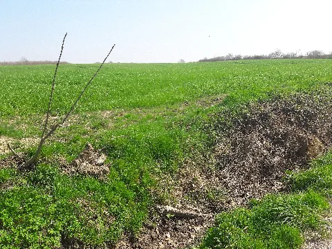 27 Meimersdorf 10