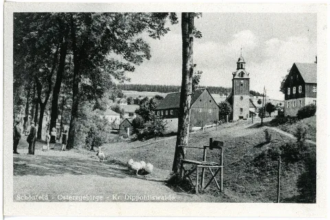 28297 Schönfeld 1952 Blick Auf Schönfeld Brück & Sohn Kunstverlag