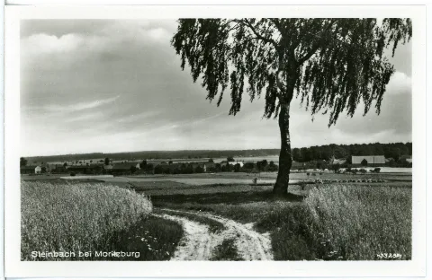 28572 Steinbach (Moritzburg) 1953 Blick Auf Steinbach Bei Moritzburg Brück & Sohn Kunstverlag