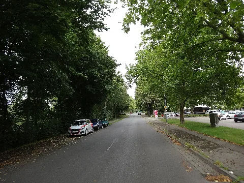 31535 Neustadt Am Rübenberge, Germany Panoramio (3)